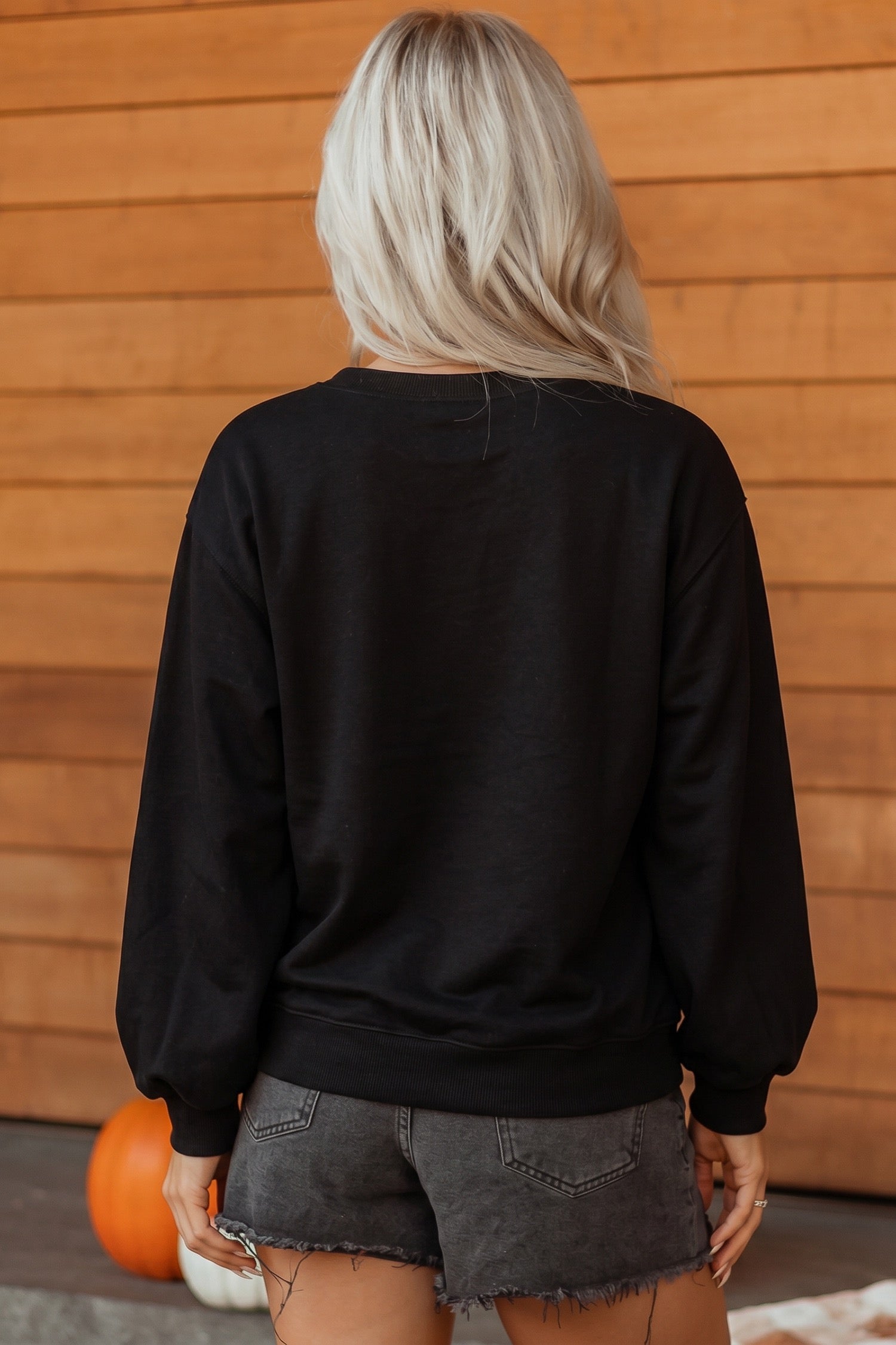 Embroidered Spooky Season Graphic Long Sleeve Round Neck Pullover