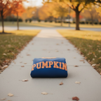 Custom Navy Sweater with Orange Polka Dot Trim & Appliqué Embroidery