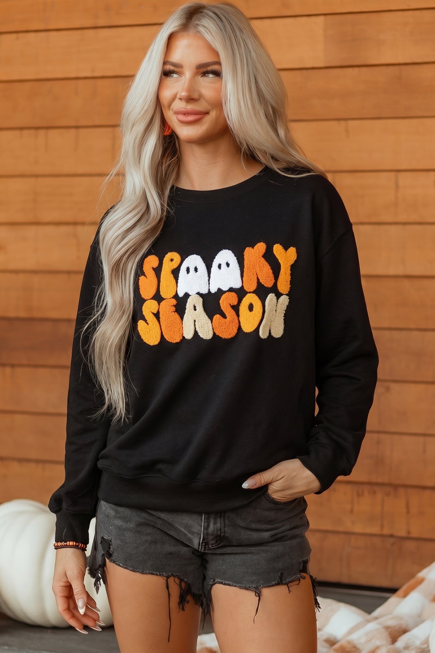 Embroidered Spooky Season Graphic Long Sleeve Round Neck Pullover